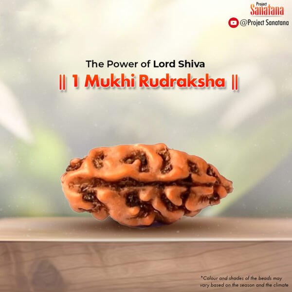 1 Mukhi Rudraksha (Indonesian Origin) – The Ultimate Shiva Energy