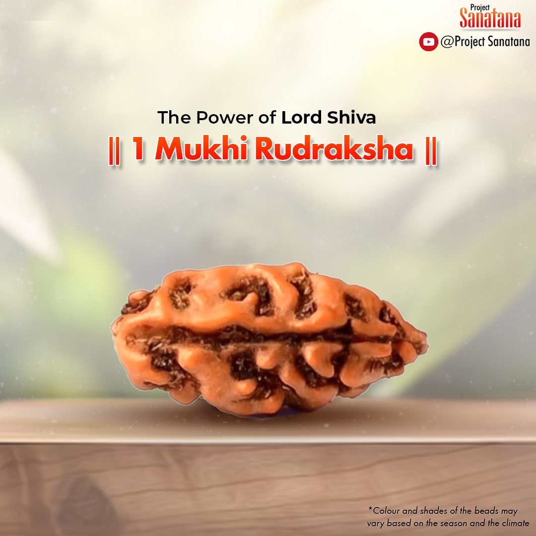 1 Mukhi Rudraksha (Indonesian Origin) – The Ultimate Shiva Energy