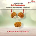 Evil Protection Rudraksha Kawach - Certified beads