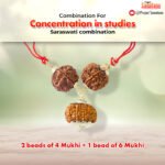 Saraswati Rudraksha Combination