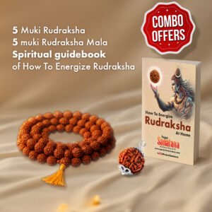 Spiritual Power Combo – 5 Mukhi Rudraksha Bead + 5 Muki rudraksha Mala + Energizing Guidebook