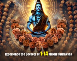Read more about the article Types of Rudraksha: Understanding the Power of Each Mukhi Bead