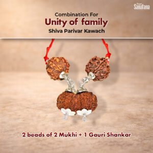 Ekta Bandh Rudraksha Combination – Certified | Buy Online
