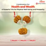 Rudraksha for Health & Wealth - Certified Beads