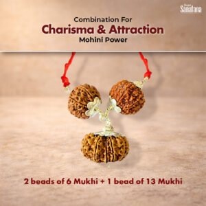 Mohini Rudraksha Combination – Certified, for Charisma | Buy