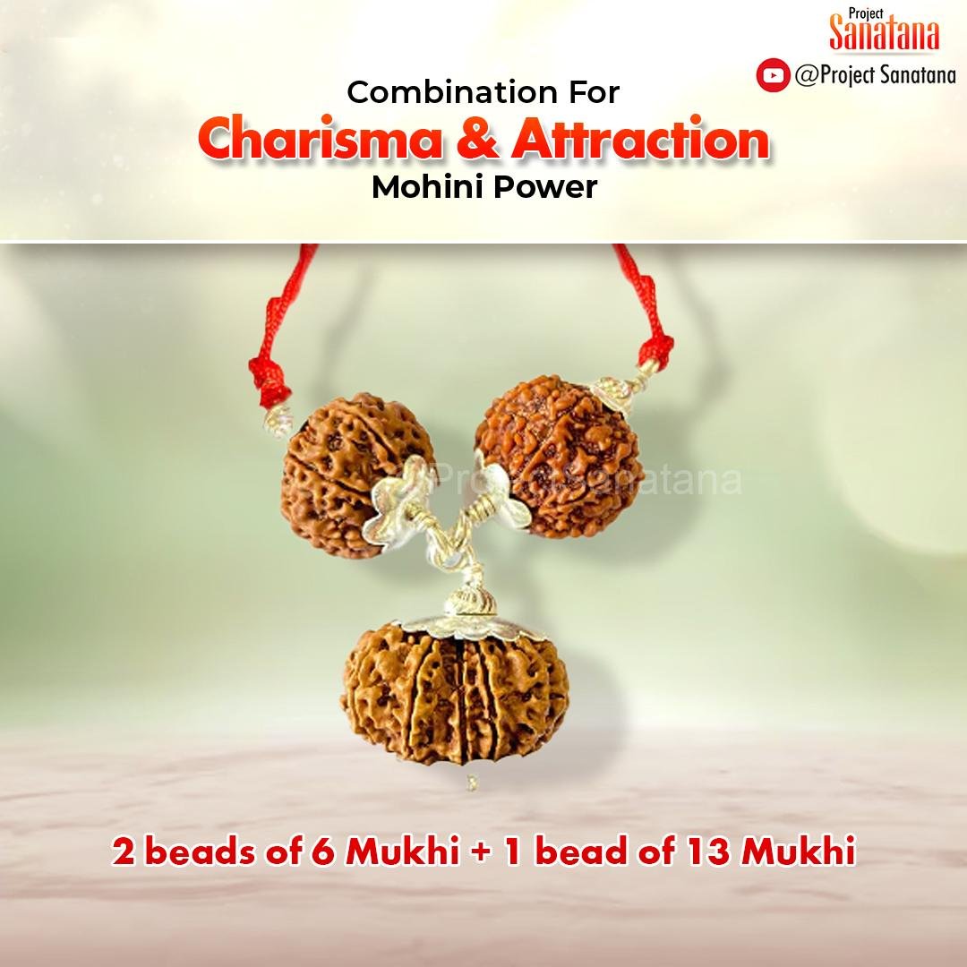Mohini Rudraksha Combination (For Charisma & Attraction) - Certified