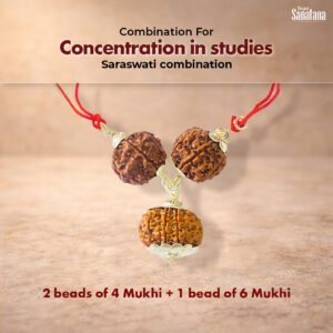 Saraswati Rudraksha Combination – Certified | Buy Online India