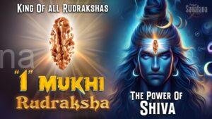 Read more about the article 1 Mukhi Rudraksha: Gateway to Shiva and Supreme Knowledge