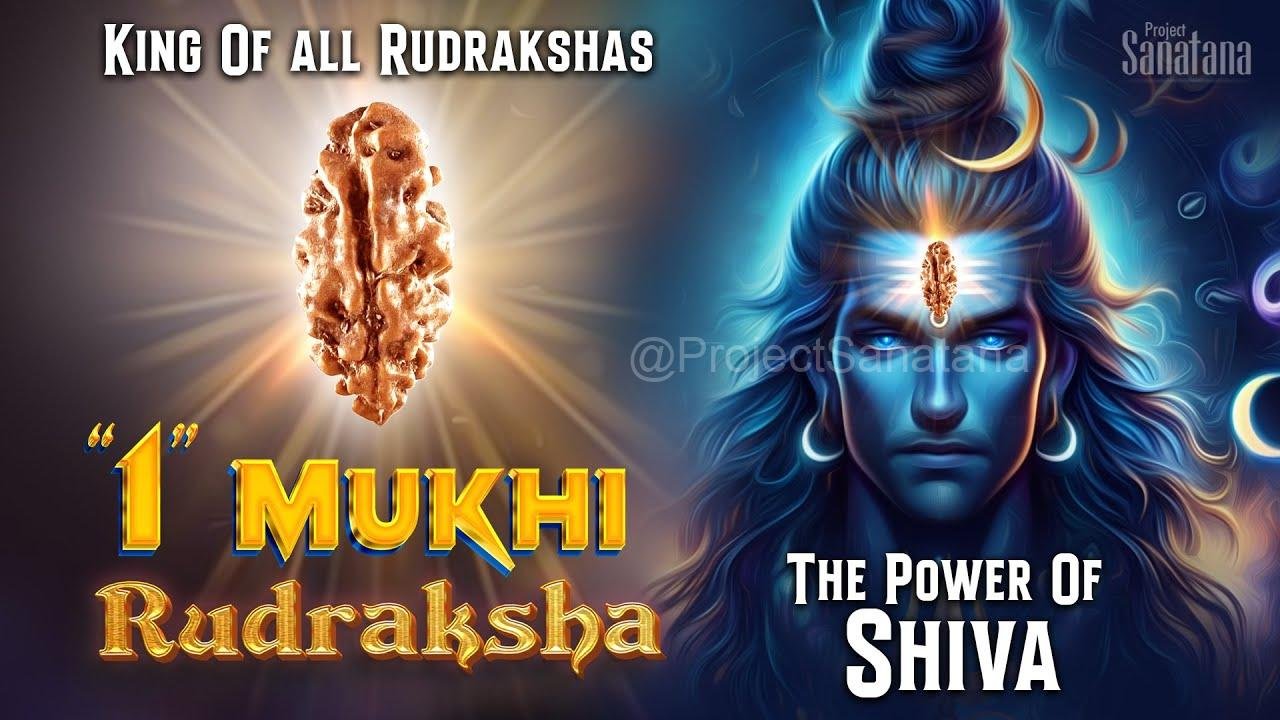 Read more about the article 1 Mukhi Rudraksha: Gateway to Shiva and Supreme Knowledge