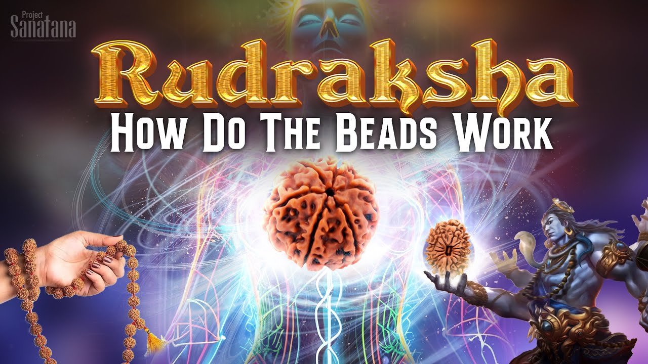 Read more about the article How do Rudraksha work | Effects of Rudraksha on human body | Benefits of Rudraksha