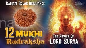 Read more about the article 12 Mukhi Rudraksha: Benefits, Significance & Spiritual Power