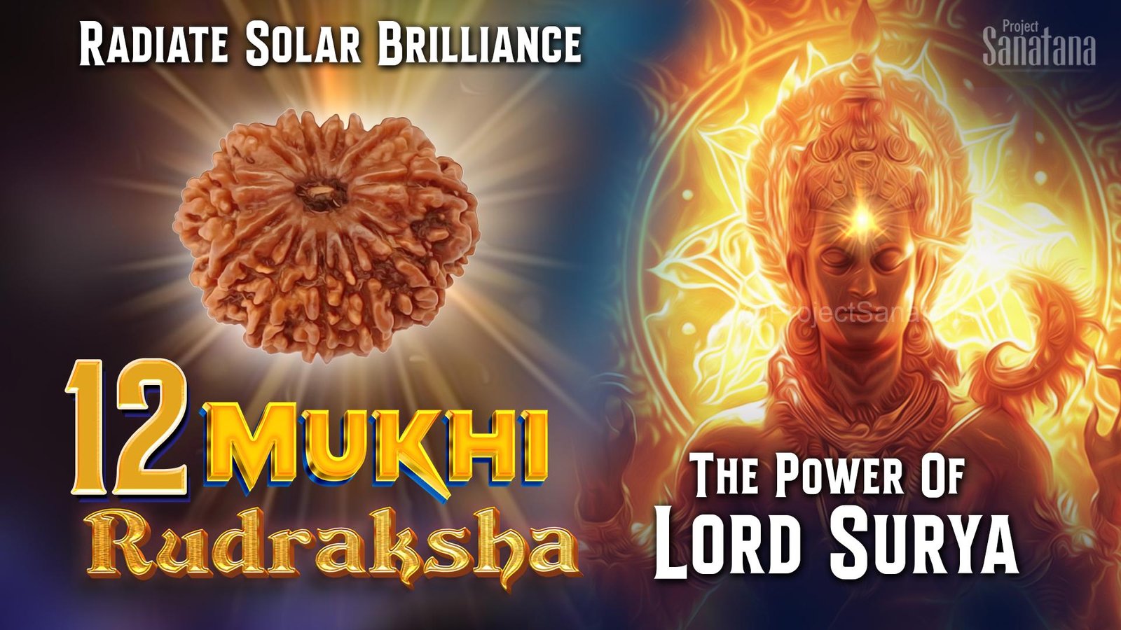 Read more about the article 12 Mukhi Rudraksha: Benefits, Significance & Spiritual Power