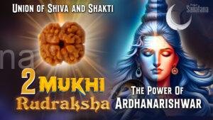 Read more about the article 2 Mukhi Rudraksha: The Divine Union of Shiva and Shakti