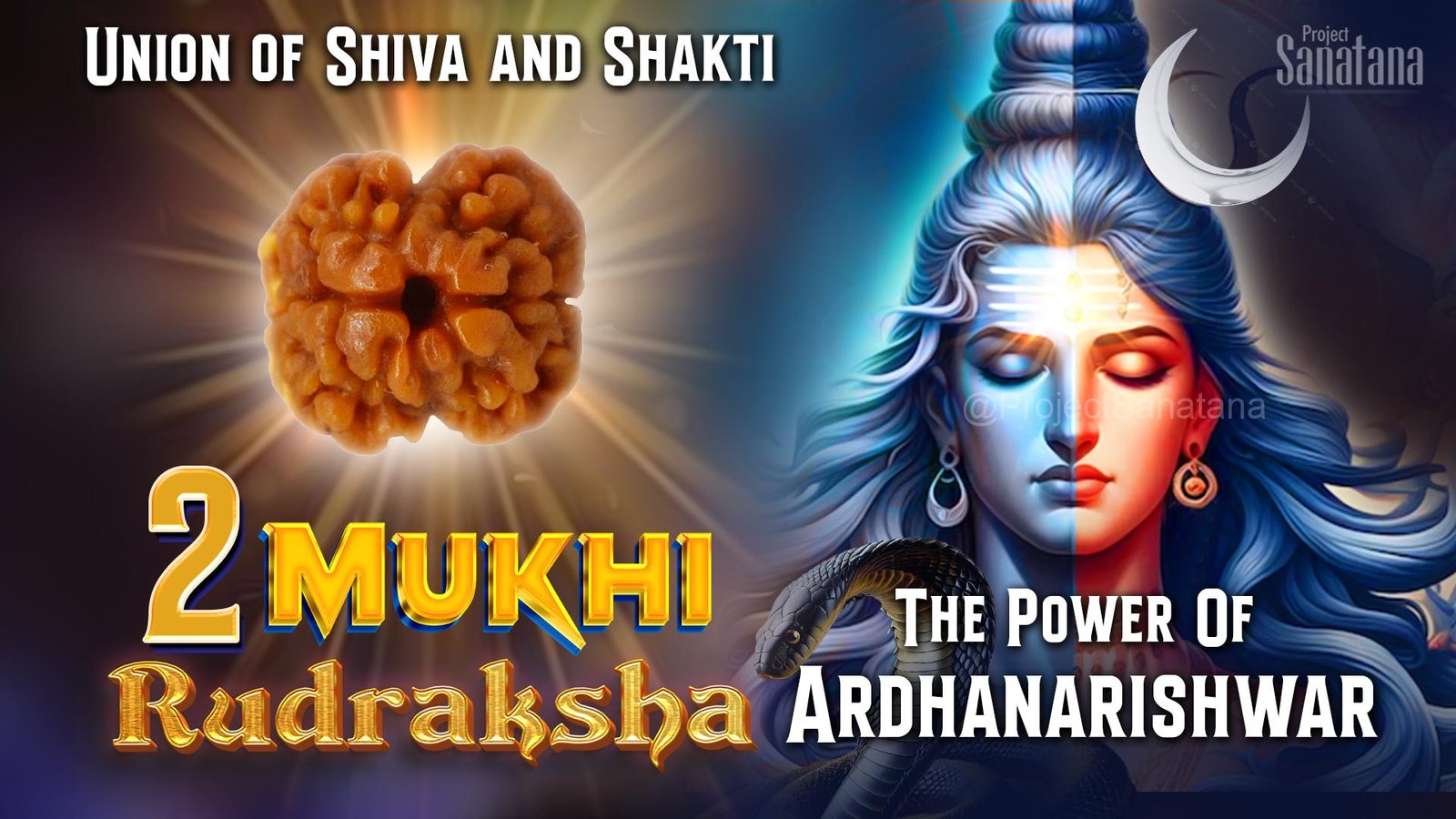 Read more about the article 2 Mukhi Rudraksha: The Divine Union of Shiva and Shakti