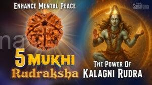 Read more about the article 5 Mukhi Rudraksha: Benefits, Meaning, and Spiritual Significance