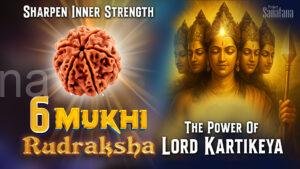 Read more about the article 6 Mukhi Rudraksha: The Power of Wisdom, Oratory & Wellness