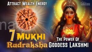 Read more about the article 7 Mukhi Rudraksha: Benefits, Power, and Spiritual Significance