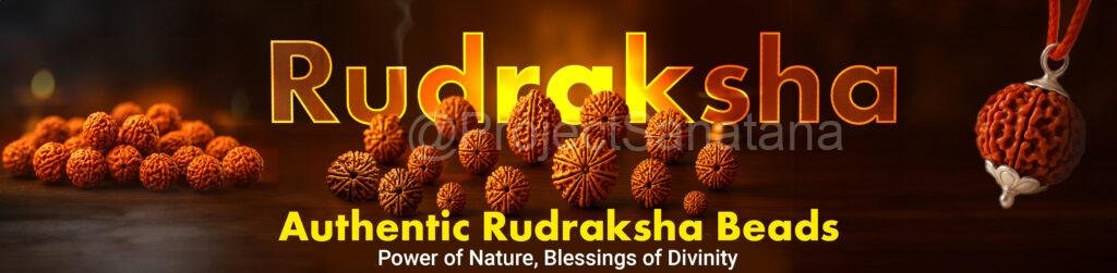 Shop Authentic Rudraksha