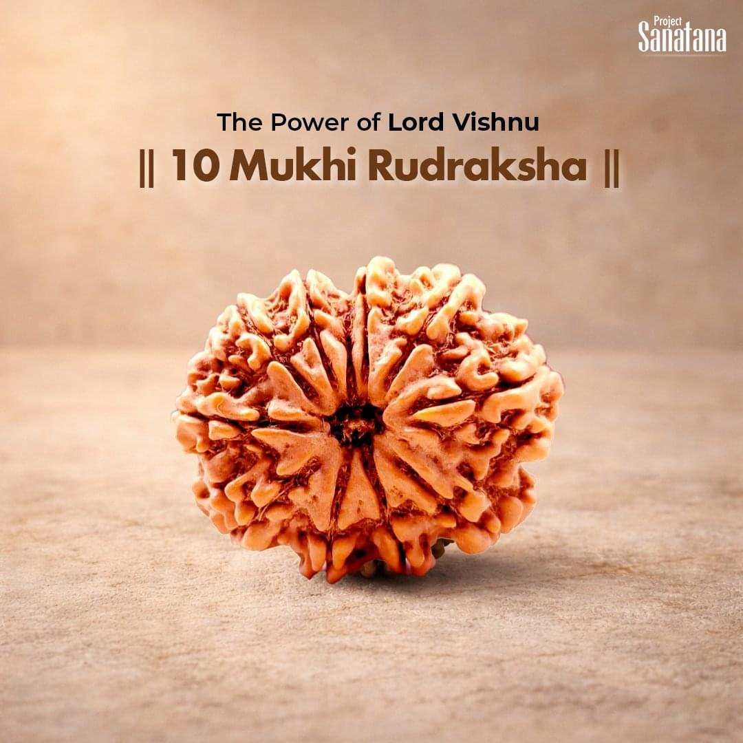 10 Mukhi Rudraksha (Nepal Origin) - Certified