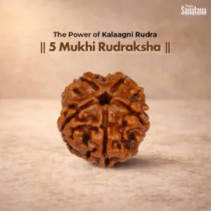 5 Mukhi Rudraksha – Buy Original Certified Bead Online India