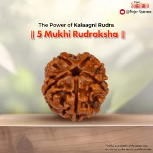 Spiritual Power Combo – 5 Mukhi Rudraksha Bead + 5 Muki rudraksha Mala + Energizing Guidebook