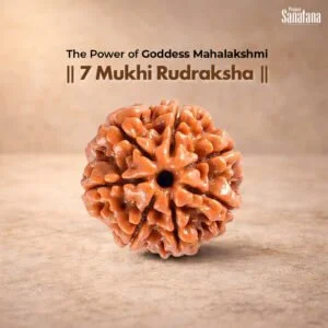 7 Mukhi Rudraksha – Certified for Wealth & Success | Buy Online