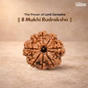 8 Mukhi Rudraksha – Certified Nepal Bead | Project Sanatana