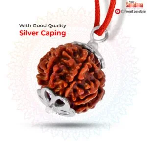 7 Mukhi Rudraksha – Certified for Wealth & Success | Buy Online