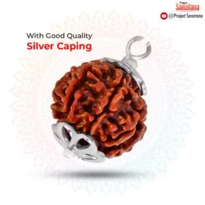 5 Mukhi Rudraksha – Buy Original Certified Bead Online India