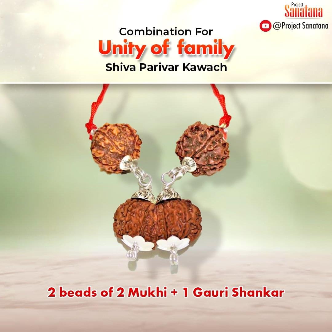 Unity Rudraksha Combination (Ekta Bandh) | Certified