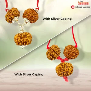 Swasthya Rudraksha Combination – Health & Wellness | Buy Online