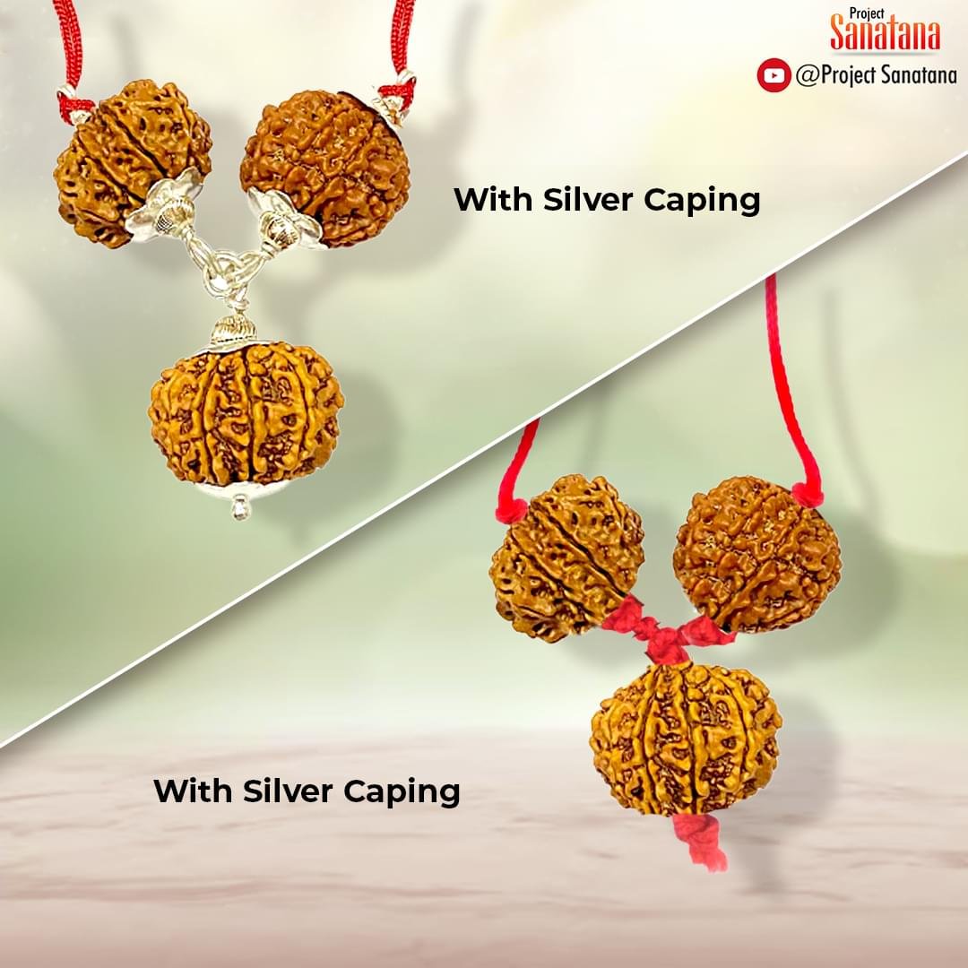 Unity Rudraksha Combination (Ekta Bandh) | Certified - Image 2