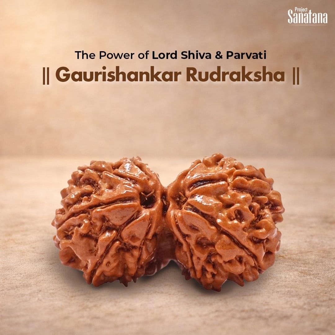 Gaurishankar Rudraksha (Nepal Origin) - Certified