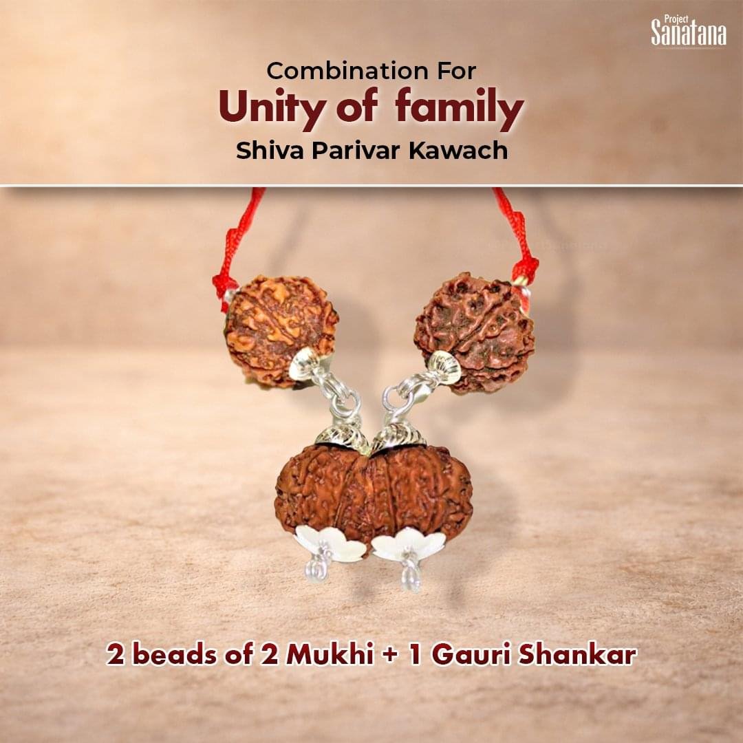 Unity Rudraksha Combination (Ekta Bandh) | Certified