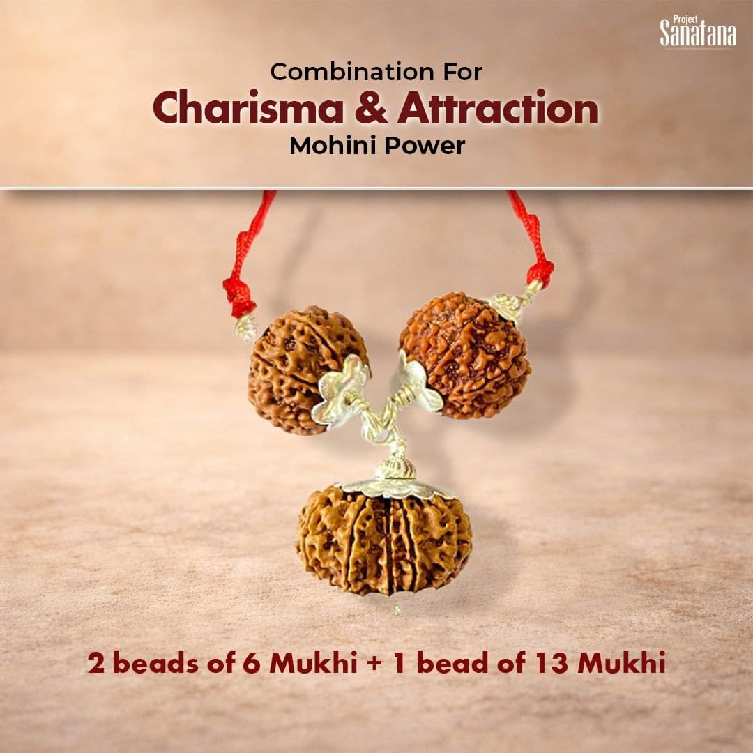 Mohini Rudraksha Combination (For Charisma & Attraction) - Certified